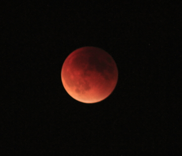 Blood Moon over Seattle, WA.