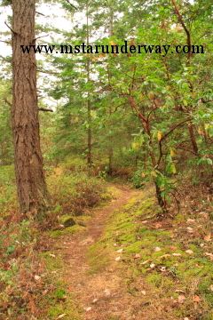 Trail on Sucia Island, WA.